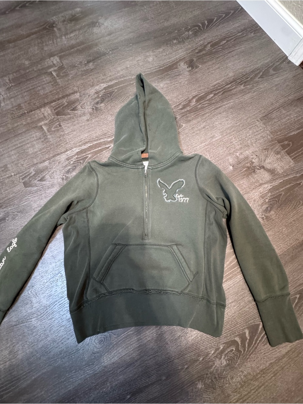 American Eagle Outfitters Olive Green Half-Zip Hoodie